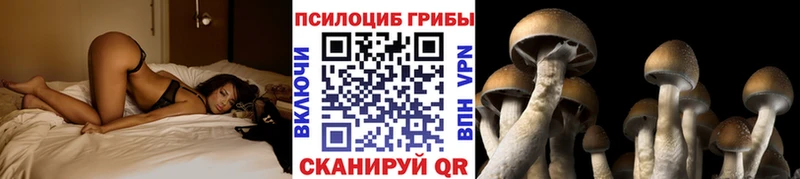 что такое наркотик  Цоци-Юрт  Галлюциногенные грибы MAGIC MUSHROOMS 