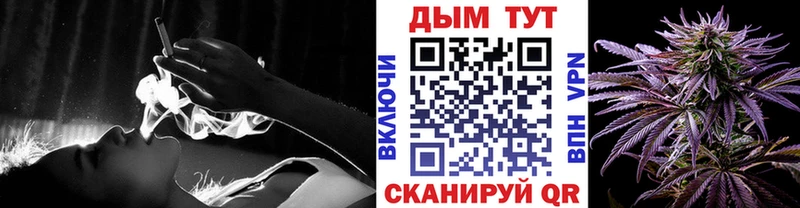 Бошки марихуана гибрид Цоци-Юрт